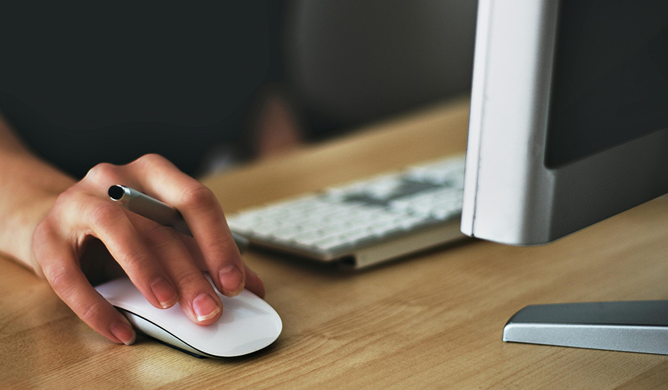 Bildung-Waldau-Kassel