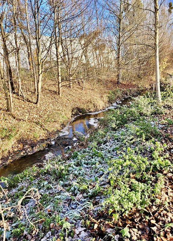 Nachhaltigkeit-Waldau
