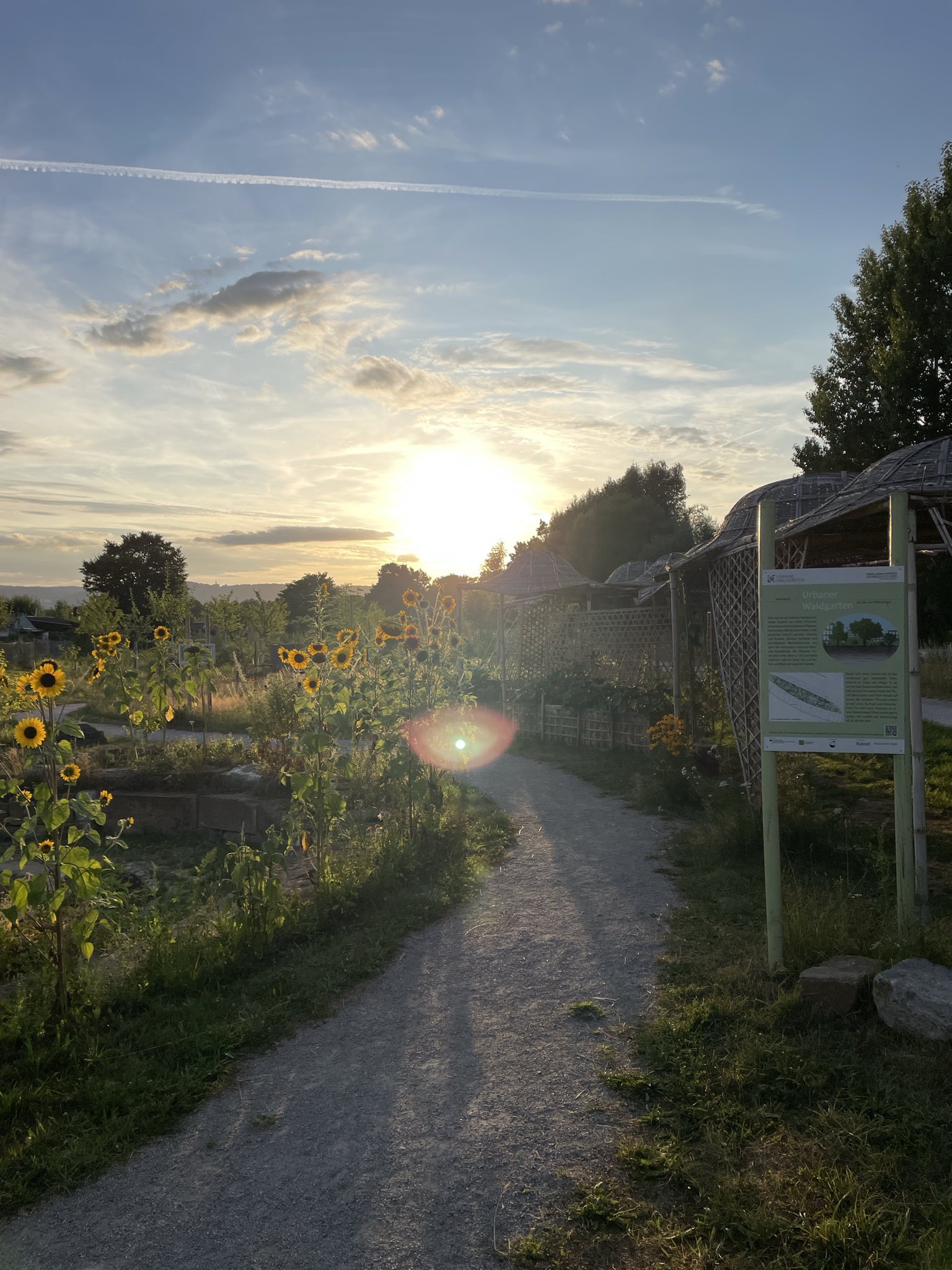 signal-2025-07-10-221933