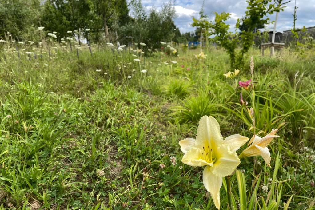 Feierabend Gärtnern