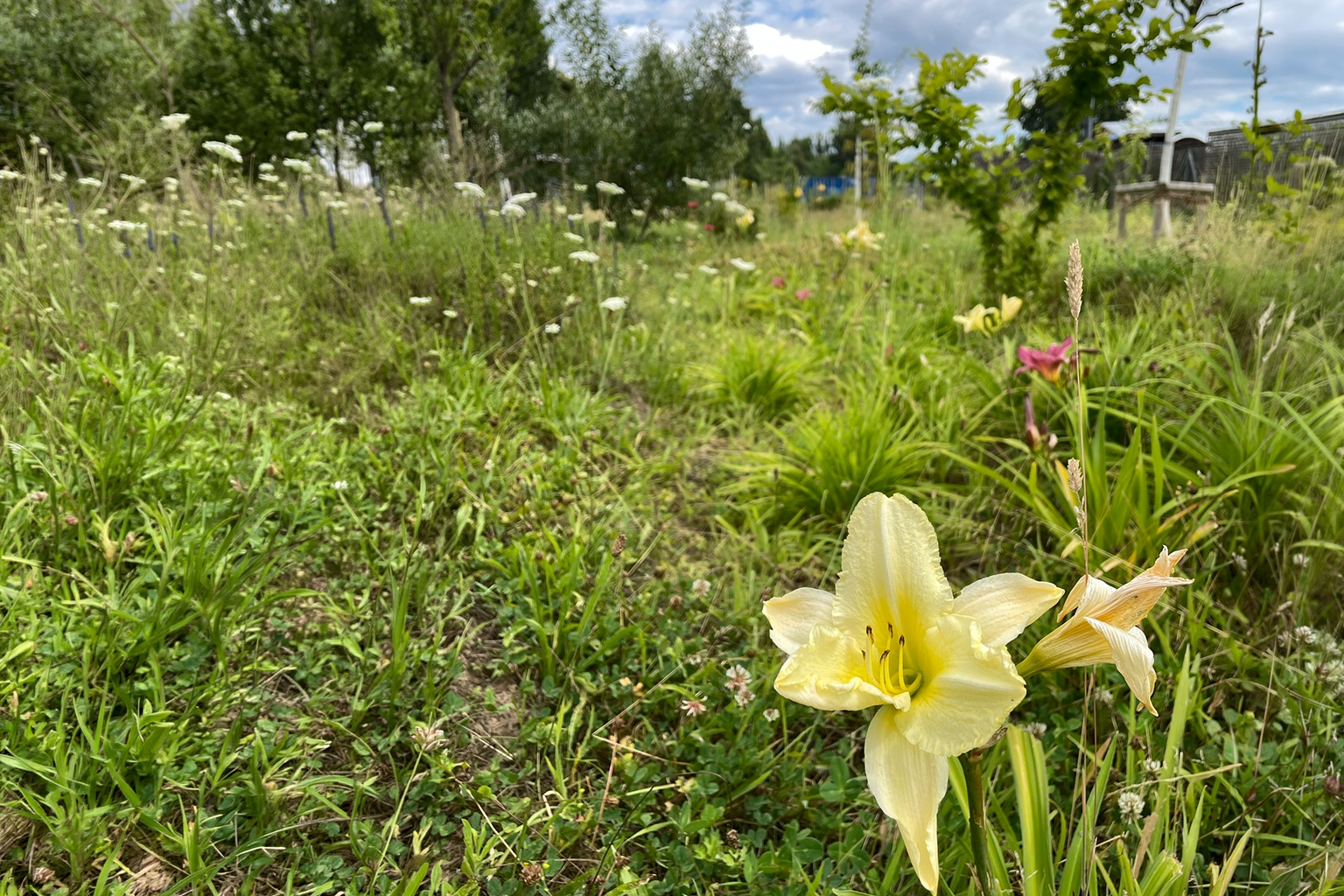 Feierabend Gärtnern